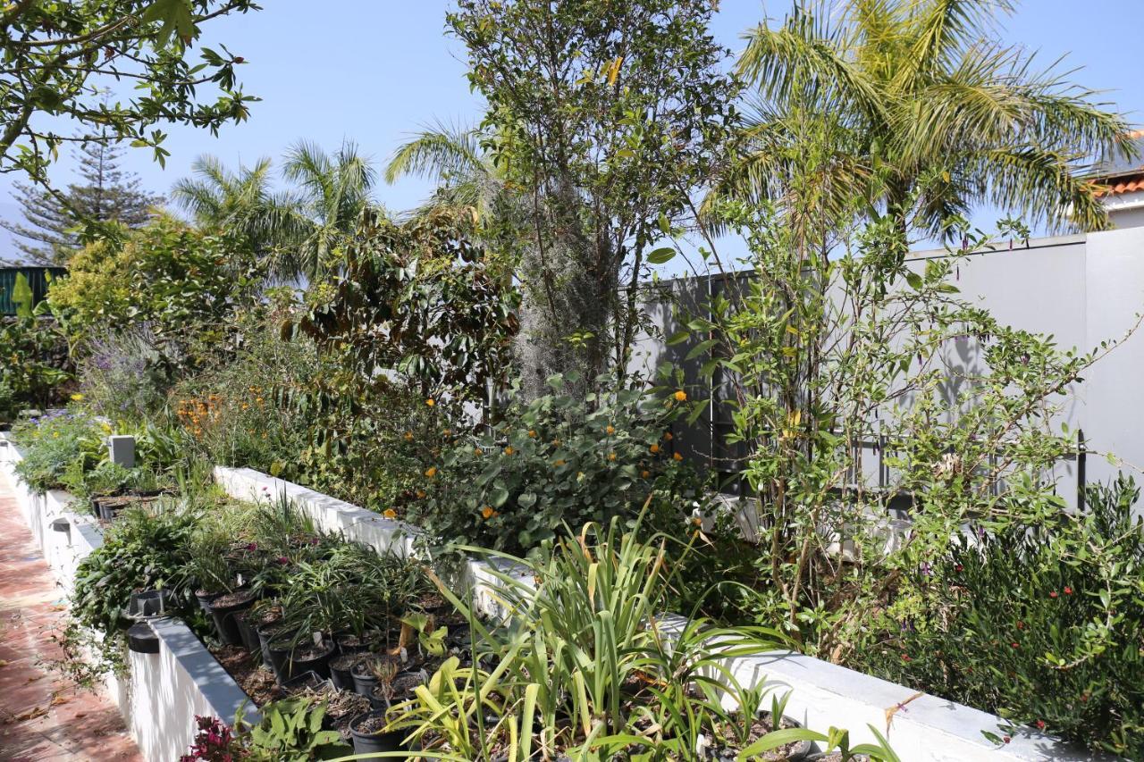 Jungle Paradise La Orotava Kültér fotó